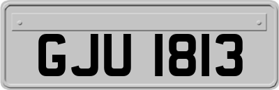 GJU1813