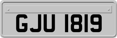 GJU1819