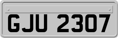 GJU2307