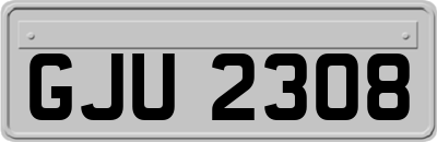 GJU2308