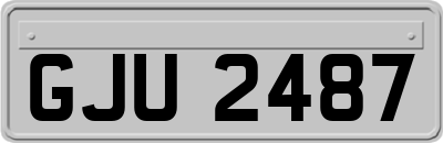 GJU2487