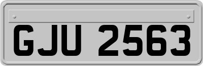 GJU2563