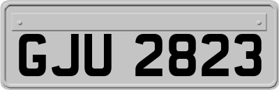 GJU2823
