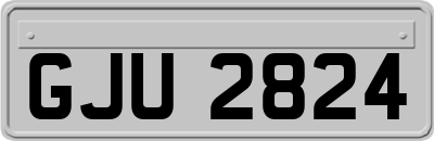 GJU2824
