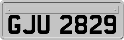 GJU2829