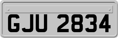 GJU2834