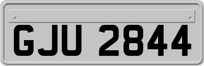 GJU2844