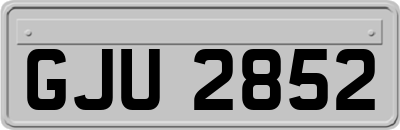 GJU2852
