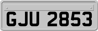 GJU2853