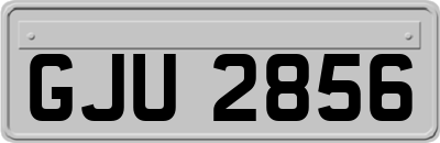 GJU2856