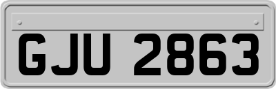GJU2863