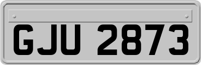GJU2873