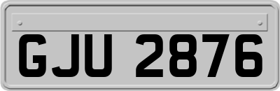 GJU2876