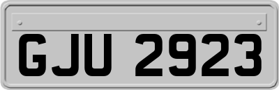 GJU2923