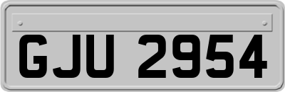 GJU2954