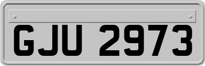 GJU2973