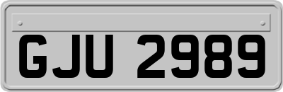 GJU2989