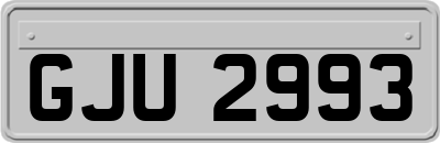 GJU2993