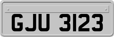 GJU3123