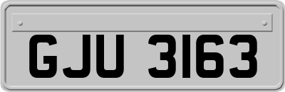 GJU3163