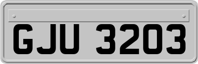 GJU3203