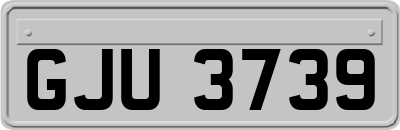 GJU3739