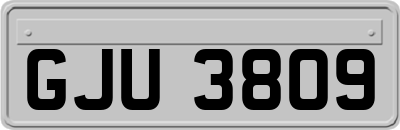 GJU3809