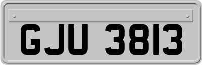 GJU3813