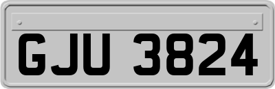 GJU3824