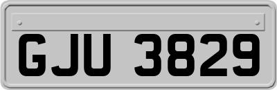 GJU3829