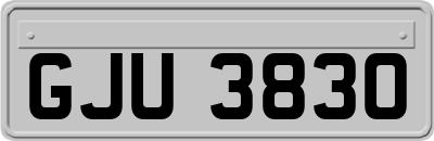 GJU3830
