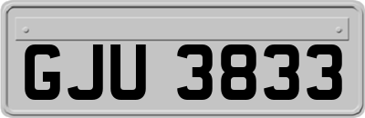GJU3833