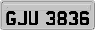 GJU3836