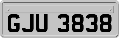 GJU3838