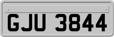 GJU3844