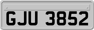 GJU3852