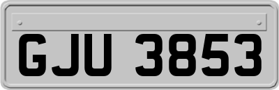 GJU3853