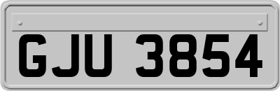 GJU3854