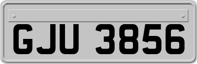 GJU3856