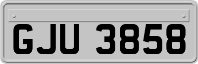 GJU3858