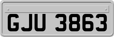 GJU3863