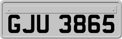 GJU3865