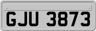 GJU3873