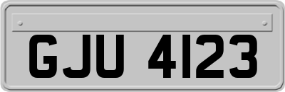 GJU4123