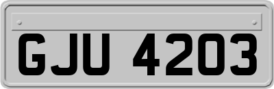GJU4203