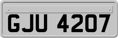 GJU4207
