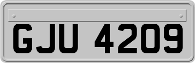 GJU4209