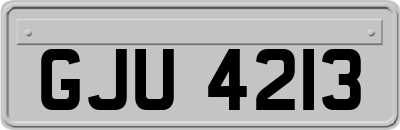 GJU4213