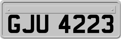 GJU4223