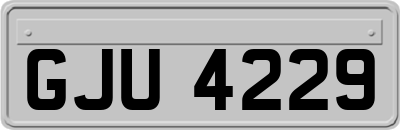 GJU4229